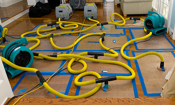 Professional Crawl Space Water Removal technician working in Electric City, WA